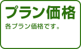 �v�������i